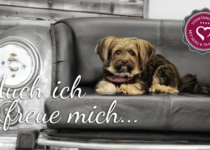 Voetter'S Hotel In Kaprun - Including Summer Card 4* Капрун